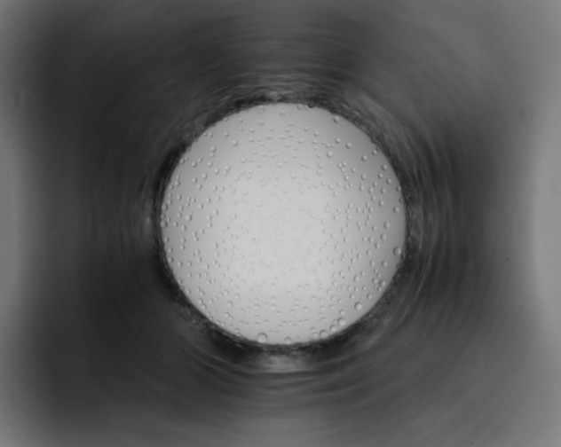 X0000093150510200710101138
