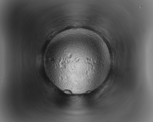 X0000093150511200710101138