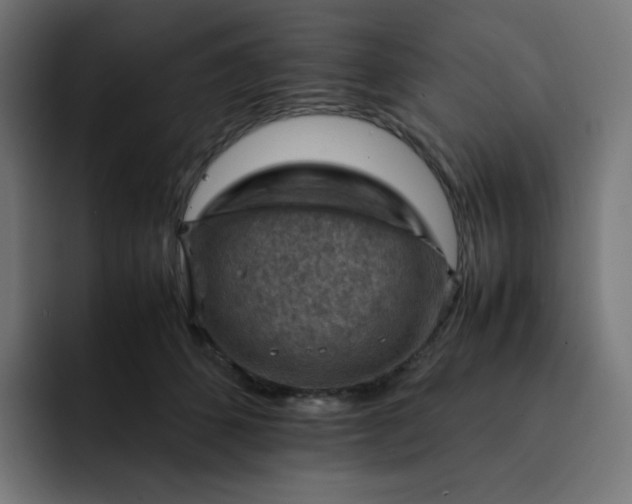 X0000093150512200710101138