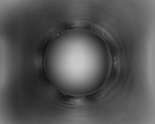 X0000093150514200710101138