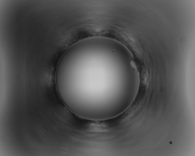 X0000093150515200710101138