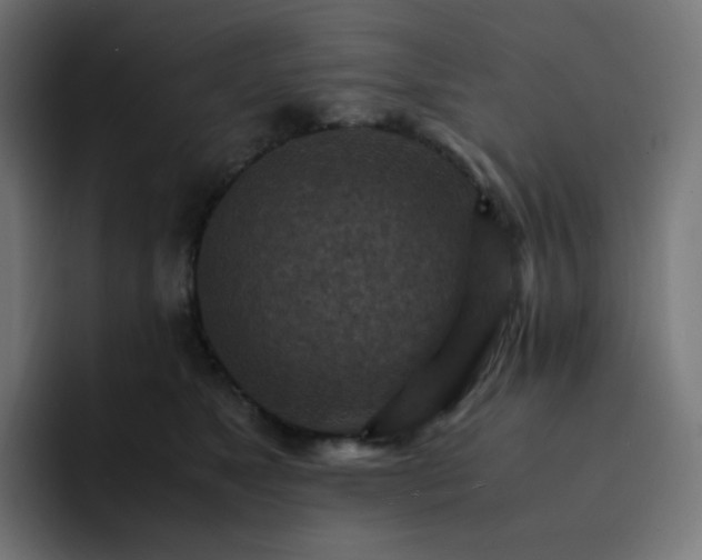 X0000093150517200710101138