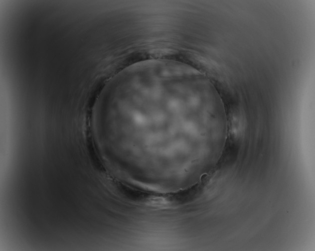 X0000093150519200710101138