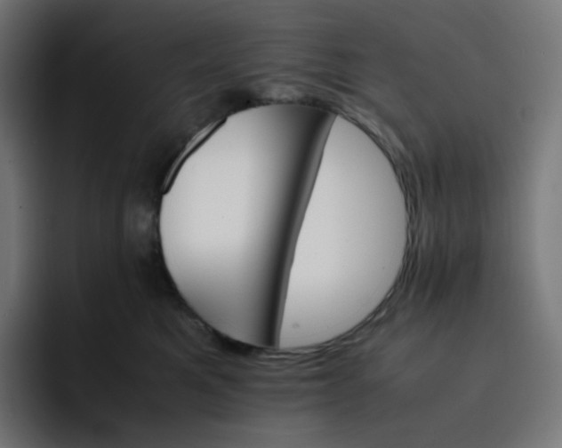 X0000093150521200710101138