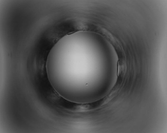X0000093150525200710101138