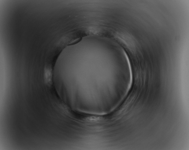 X0000093150526200710101138