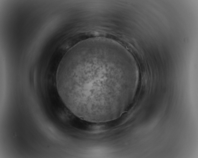 X0000093150527200710101138