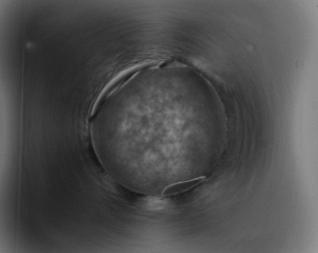 X0000093150528200710101138
