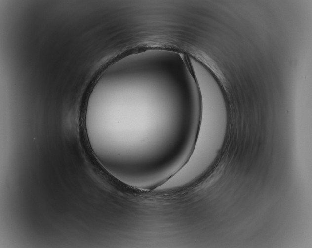 X0000093150530200710101137