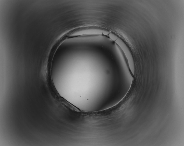 X0000093150532200710101137