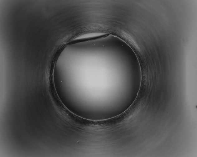 X0000093150538200710101137