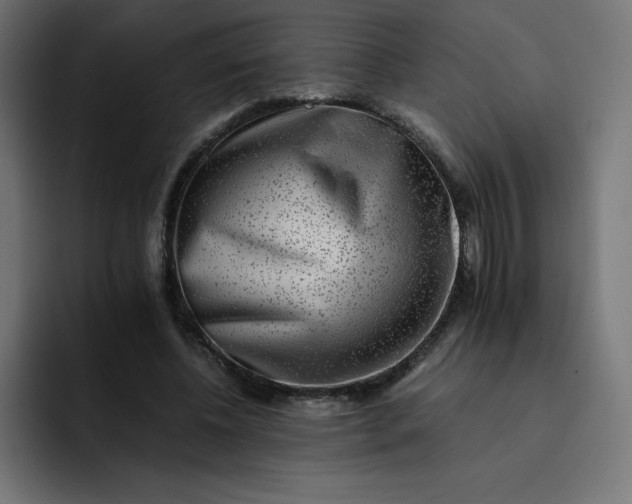 X0000093150540200710101137