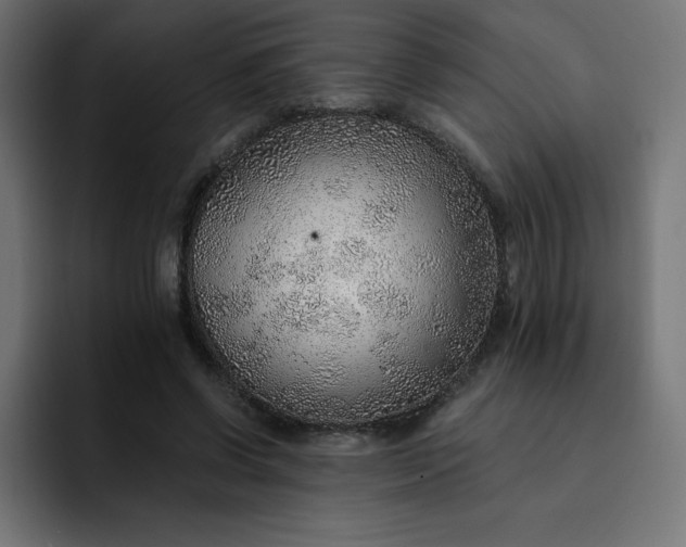 X0000093150542200710101137