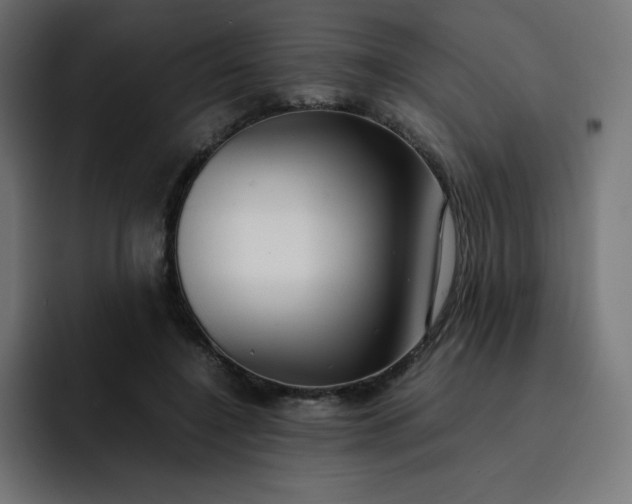 X0000093150548200710101138