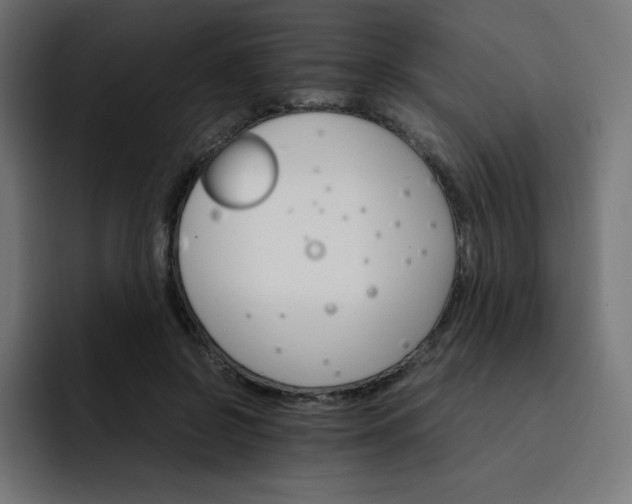 X0000093150550200710101138