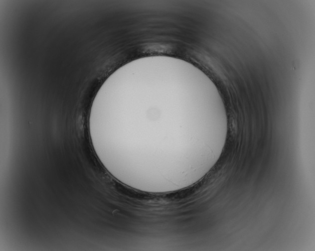 X0000093150551200710101138