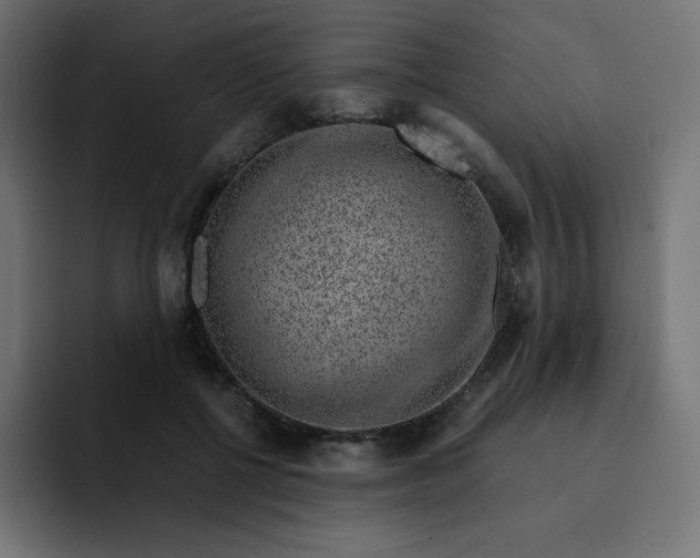 X0000093150552200710101138
