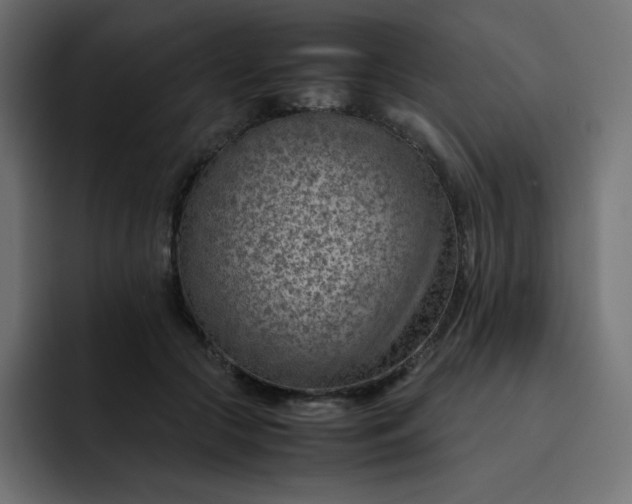 X0000093150553200710101138