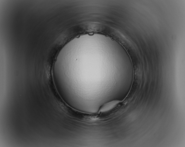 X0000093150554200710101138