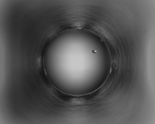 X0000093150556200710101138