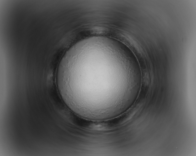 X0000093150557200710101138