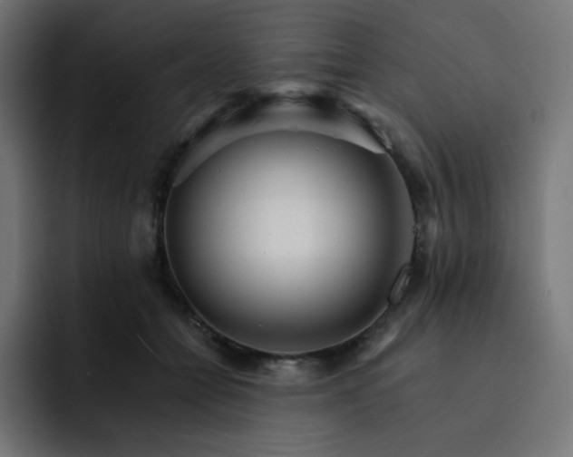 X0000093150558200710101138