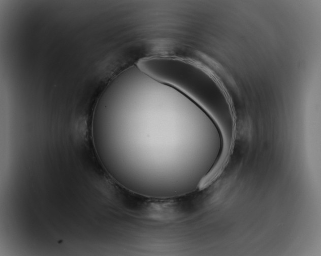 X0000093150560200710101138
