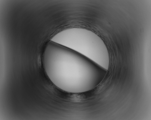 X0000093150562200710101138