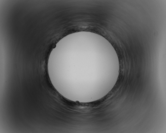 X0000093150563200710101138