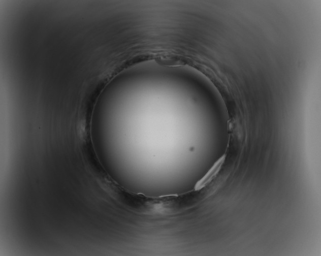 X0000093150564200710101138