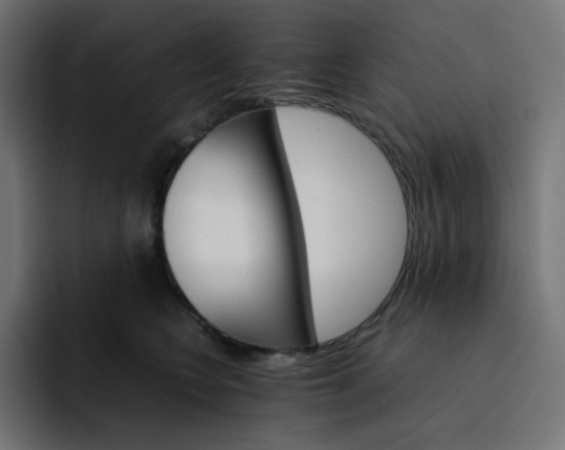 X0000093150566200710101138