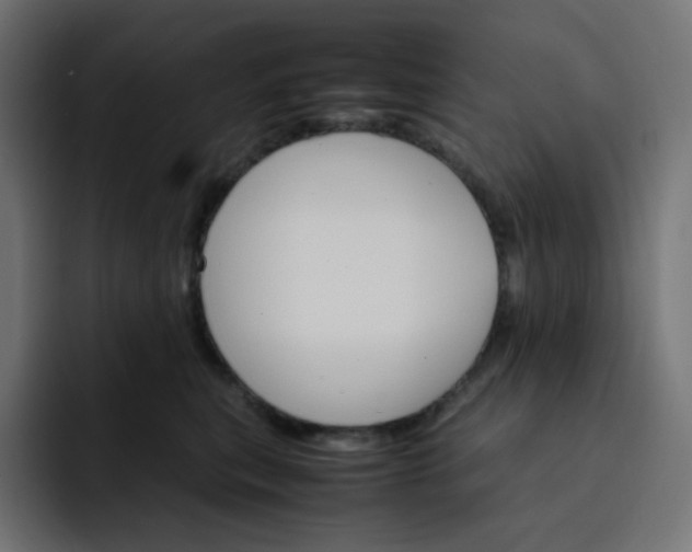 X0000093150567200710101138