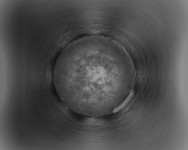 X0000093150568200710101138