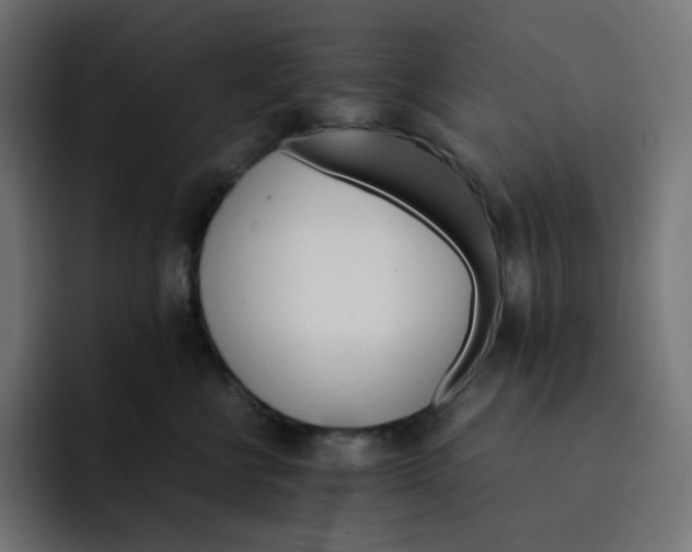 X0000093150570200710101138