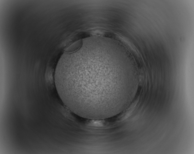 X0000093150573200710101138