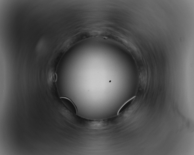 X0000093150574200710101138