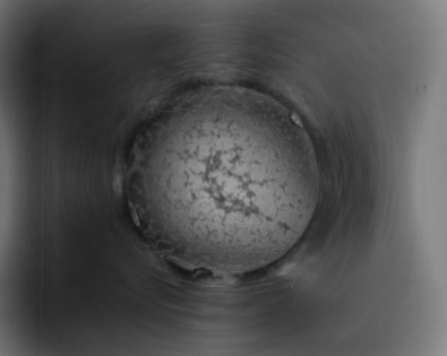X0000093150576200710101138