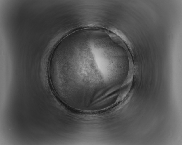 X0000093150577200710101137