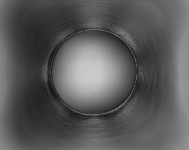 X0000093150578200710101137