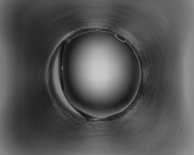 X0000093150580200710101137
