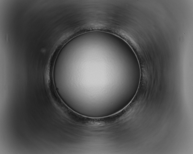 X0000093150582200710101137