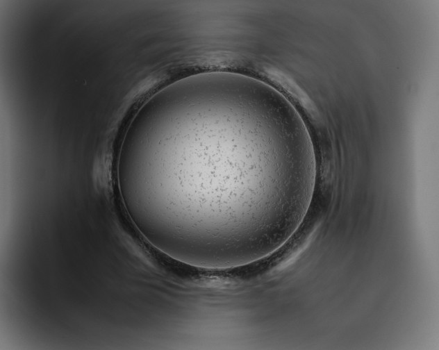 X0000093150585200710101137