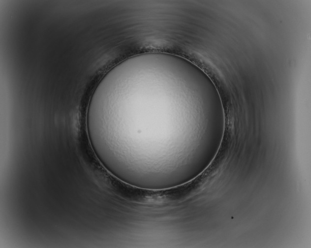 X0000093150591200710101137