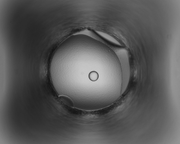 X0000093150593200710101137