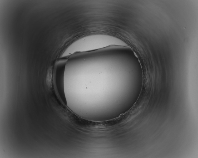 X0000093150600200710101137