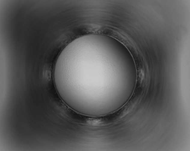 X0000093150602200710101137