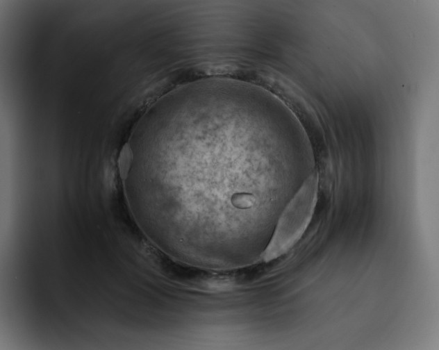 X0000093150604200710101137