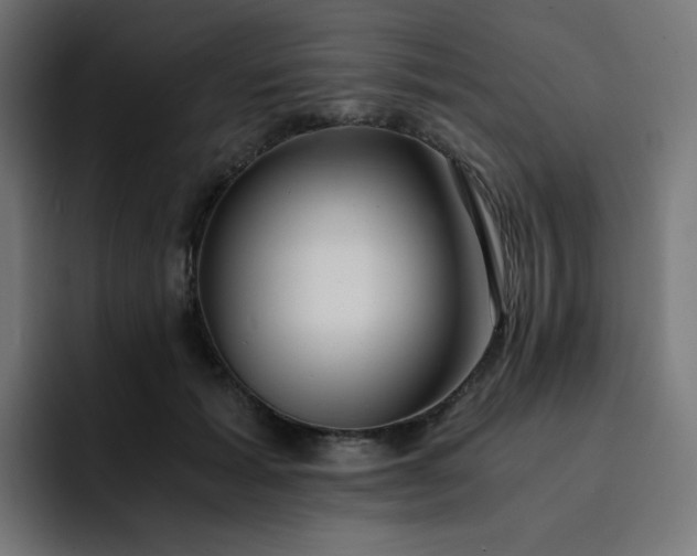 X0000093150605200710101137