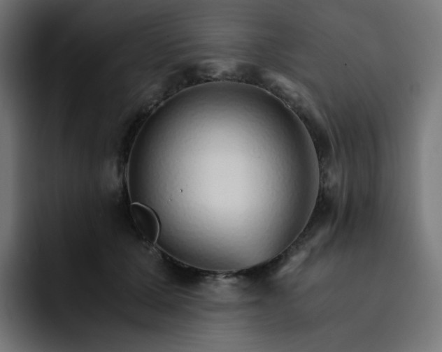 X0000093150607200710101137