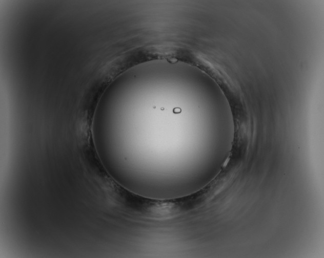 X0000093150609200710101137